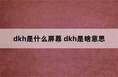 dkh是什么屏幕 dkh是啥意思